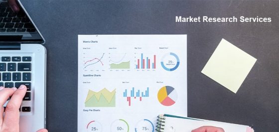Reasons why-your-business-needs-market-research-services